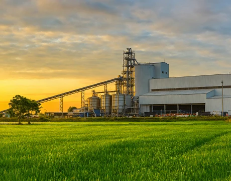 Food Processing