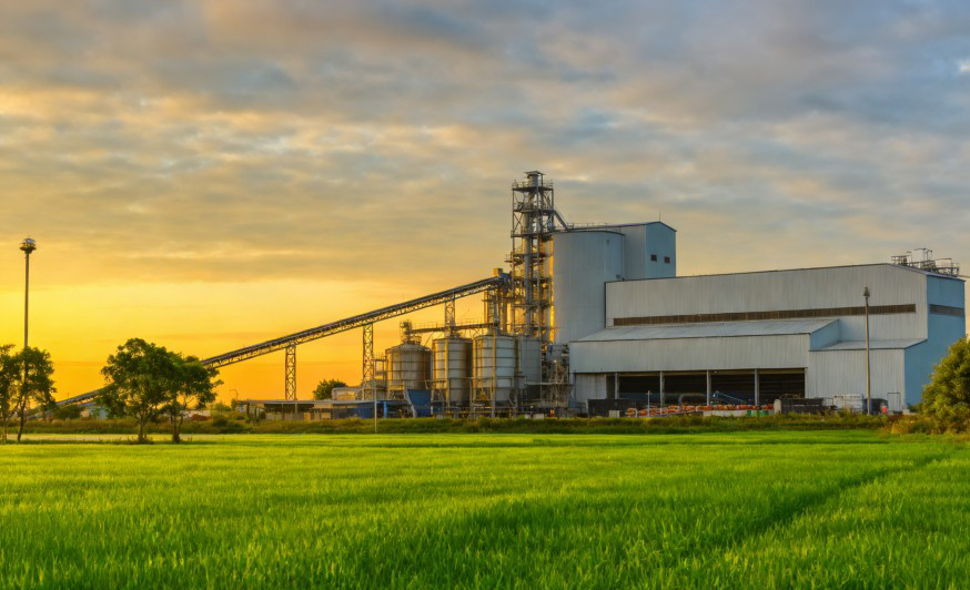 Food Processing