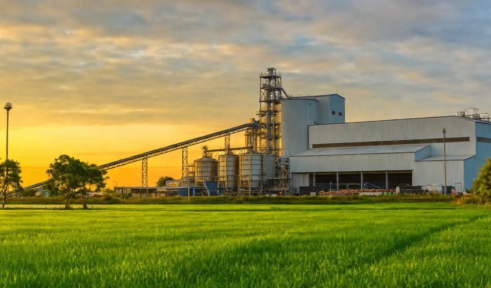Industry